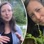 Ako Američania bojujú s chrobákom zemiakovým: bez jedov a chemikálií