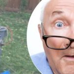 Podivný nález pri strome zanechal suseda zmäteného: aké tajomstvo skrýva