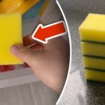 Prečo dať hubku do mrazničky: jednoduchý trik odstráni obrovský problém Prečo dať hubku do mrazničky: jednoduchý trik odstráni obrovský problém