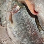 Prečo ryby pred vyprážaním namáčať do múky, keď sa aj tak nasiaknu. preco-ryby-pred-vyprazanim-namacat-do-muky-ked-sa-aj.jpg