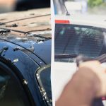 Vtáky už na autá nesadajú: tu je návod, čo musíte urobiť Vtáky už na autá nesadajú: tu je návod, čo musíte