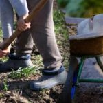 Výsevný kalendár na september 2025: čo robiť v záhrade a